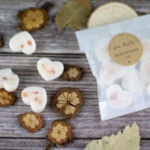 Sea Salt & Ginger Lily Coconut- Rapeseed Wax Melts